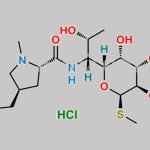 Lincomycin Hydrochloride CAS#: 859-18-7