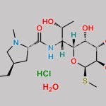 Lincomycin Hydrochloride Hydrate CAS#: 7179-49-9