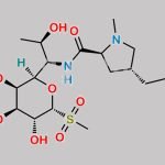 Lincomycin Sulfone CAS#: 198080-68-1