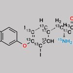Liothyronine-[13C9,15N] CAS#: 1213569-04-0