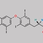 Liothyronine EP Impurity A CAS#: 51-48-9