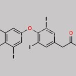Liothyronine EP Impurity D CAS#: 67-30-1