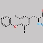 Liothyronine Impurity I CAS#: 94345-95-6