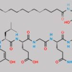 Liraglutide D8 CAS#: N/A