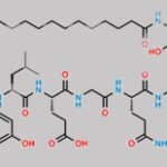 Liraglutide Impurity 2 CAS#: N/A