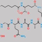 Liraglutide Impurity 5 CAS#: 2376305-58-5