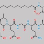 Liraglutide Impurity 7 CAS#: N/A