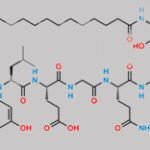 Liraglutide N-Formyl Kynurenine CAS#: N/A