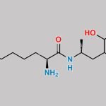 Lisdexamfetamine Impurity 1 CAS#: 2415710-17-5