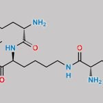 Lisdexamfetamine Tetramino Analog CAS#: 2243794-25-2