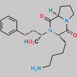 Lisinopril EP Impurity D CAS#: 219677-82-4
