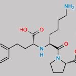 Lisinopril EP Impurity E CAS#: N/A