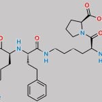 Lisinopril EP Impurity G CAS#: 1356839-89-8