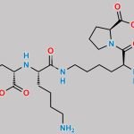 Lisinopril EP Impurity J CAS#: 2566937-60-6