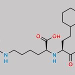 Lisinopril Impurity 14 CAS#: 488760-32-3