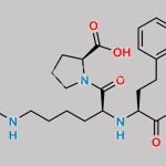 Lisinopril Impurity 8 CAS#: 103300-91-0