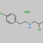 Lorcaserin Impurity 3 CAS#: 953789-37-2