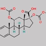 Loteprednol Impurity 14 CAS#: N/A