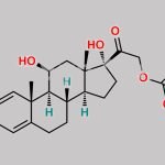 Loteprednol Impurity 2 CAS#: 2205-88-1