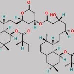Lovastatin EP Impurity D CAS#: N/A