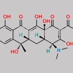 Lymecycline EP Impurity B CAS#: 6542-44-5