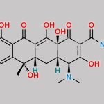 Lymecycline EP Impurity H CAS#: 60-54-8