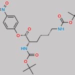 Lysine Impurity 1 CAS#: 2592-19-0