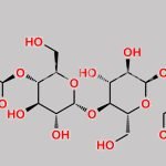 Maltotetraose CAS#: 34612-38-9