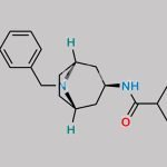 Maraviroc Impurity 12 CAS#: 376348-67-3