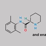 Mepivacaine EP Impurity B CAS#: 15883-20-2