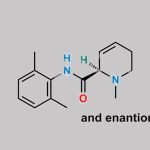 Mepivacaine EP Impurity D CAS#: N/A