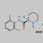 Mepivacaine Hydrochloride CAS#: 1722-62-9