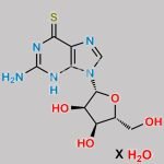 Mercaptopurine Impurity 5 CAS#: 345909-25-3