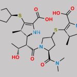Meropenem EP impurity B CAS#: 166901-45-7