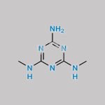 Metformin Impurity 2 CAS#: 13452-82-9
