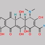 Methacycline CAS#: 914-00-1
