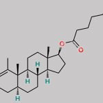 Methenolone Enanthate CAS#: 303-42-4