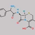 Methoxy Cefadroxil CAS#: 40601-01-2