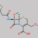 Methoxy Cefoxitin CAS#: 35565-06-1