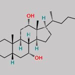 Methyl Cholate CAS#: 1448-36-8