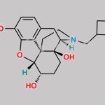 Methyl Nalbuphine CAS#: 90242-27-6