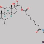 Methyl Prednisolone Sodium Suleptanate CAS#: 90350-40-6