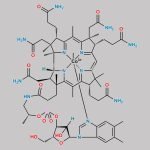 Methylcobalamin CAS#: 13422-55-4