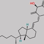 Methylene Calcitriol CAS#: 1428946-52-4