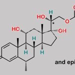 Methylprednisolone Acetate EP Impurity A CAS#: 93963-74-7