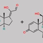 Methylprednisolone EP Impurity D CAS#: 1338549-02-2
