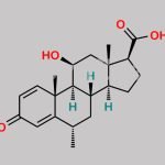 Methylprednisolone EP Impurity E CAS#: 229019-44-7