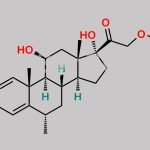 Methylprednisolone EP Impurity J CAS#: 53-36-1