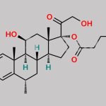 Methylprednisolone Hydrogen Succinate EP Impurity B CAS#: 77074-42-1