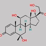 Methylprednisolone Impurity 5 CAS#: N/A
